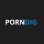 Icon of Porn Dig