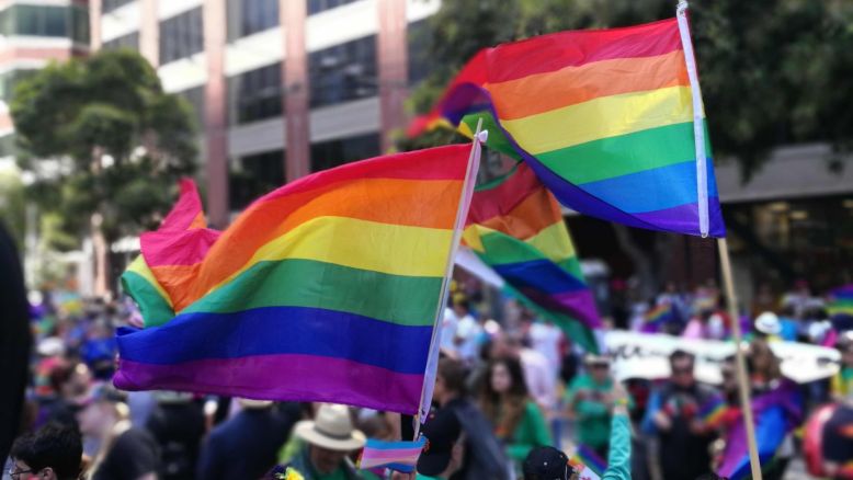 Status and support LGBTQ+ in the adult industry