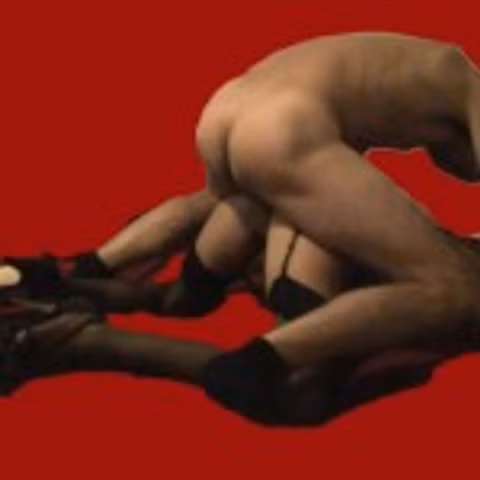 lingerielusttoys