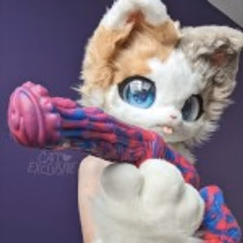 CREAMFILLEDCAT