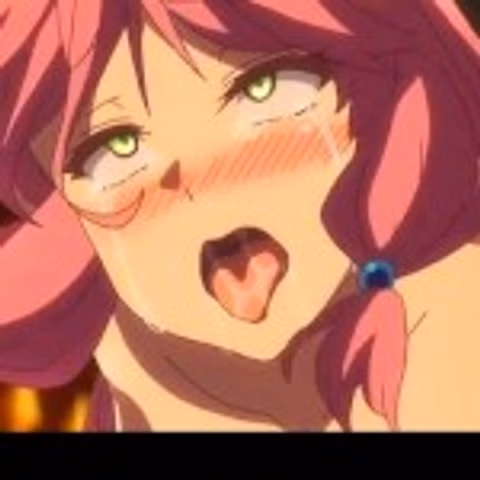 Animelechoso
