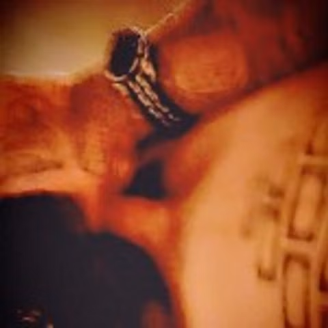 Bandit N Wet Toxic