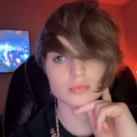 Arachnid Tangle