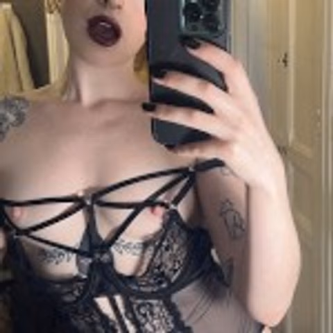 Maya Fox 333