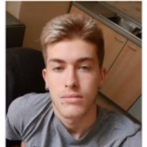 Enricolamico
